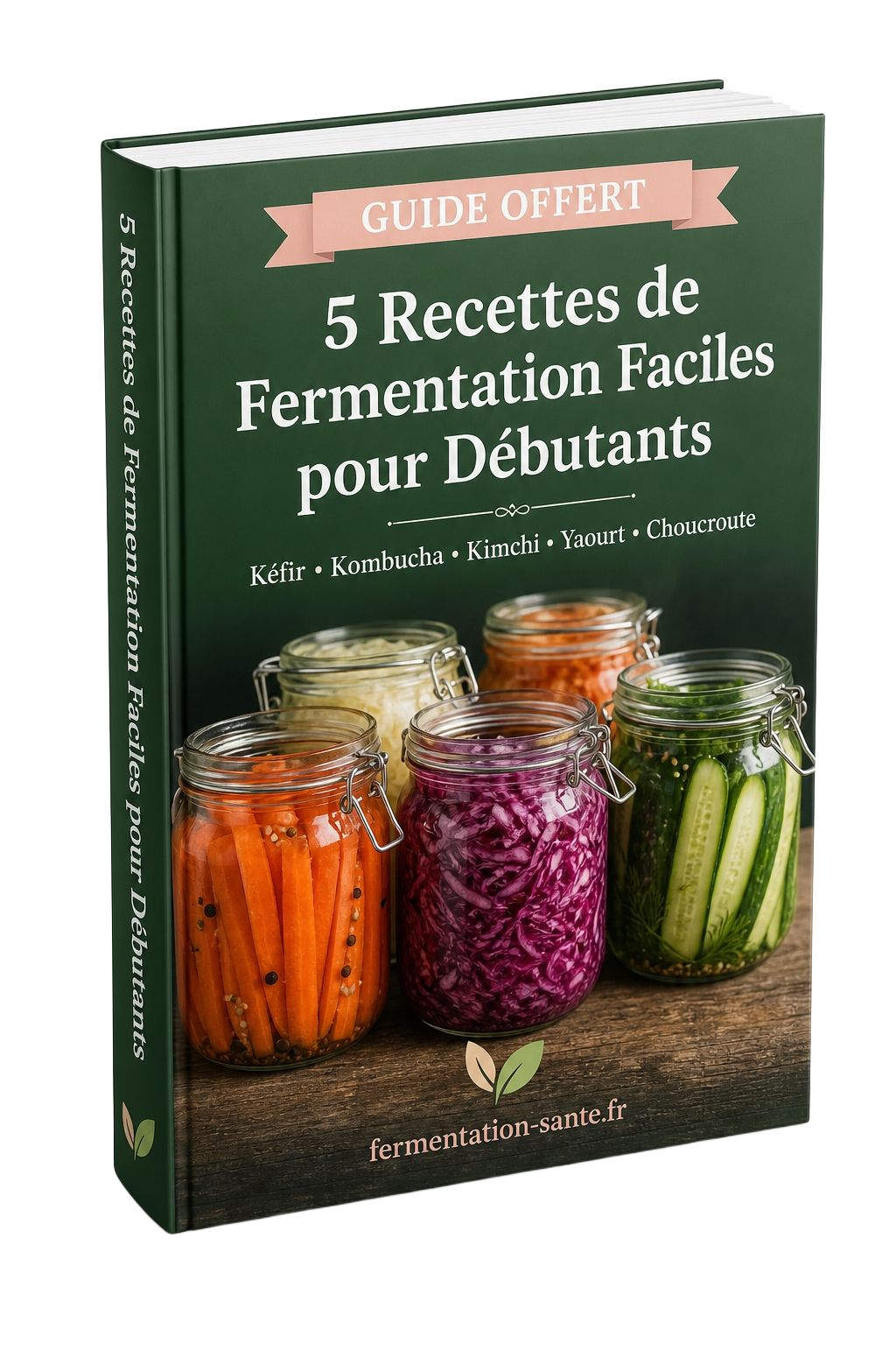 Guide offert — 5 recettes de fermentation faciles pour débutants